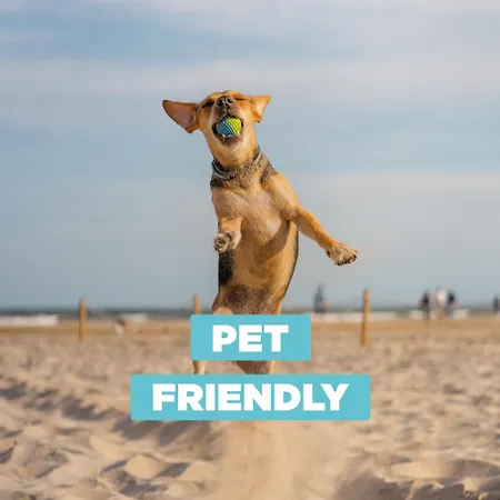 Cristallo 4g Appartement *